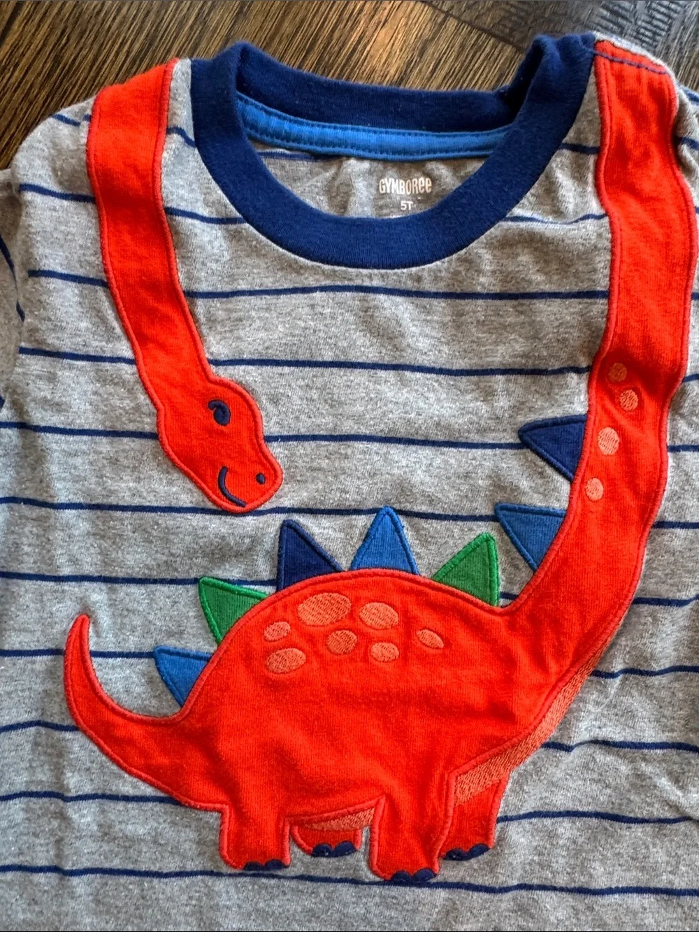 Dinosaur shirt